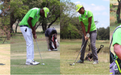 Golf Cover