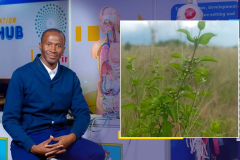 bhebhe zumbani story