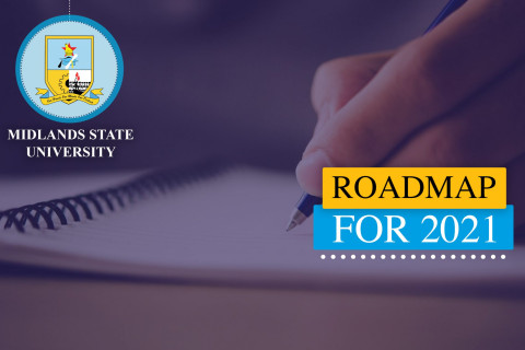 PROPOSED ROADMAP FOR 2021 WEB