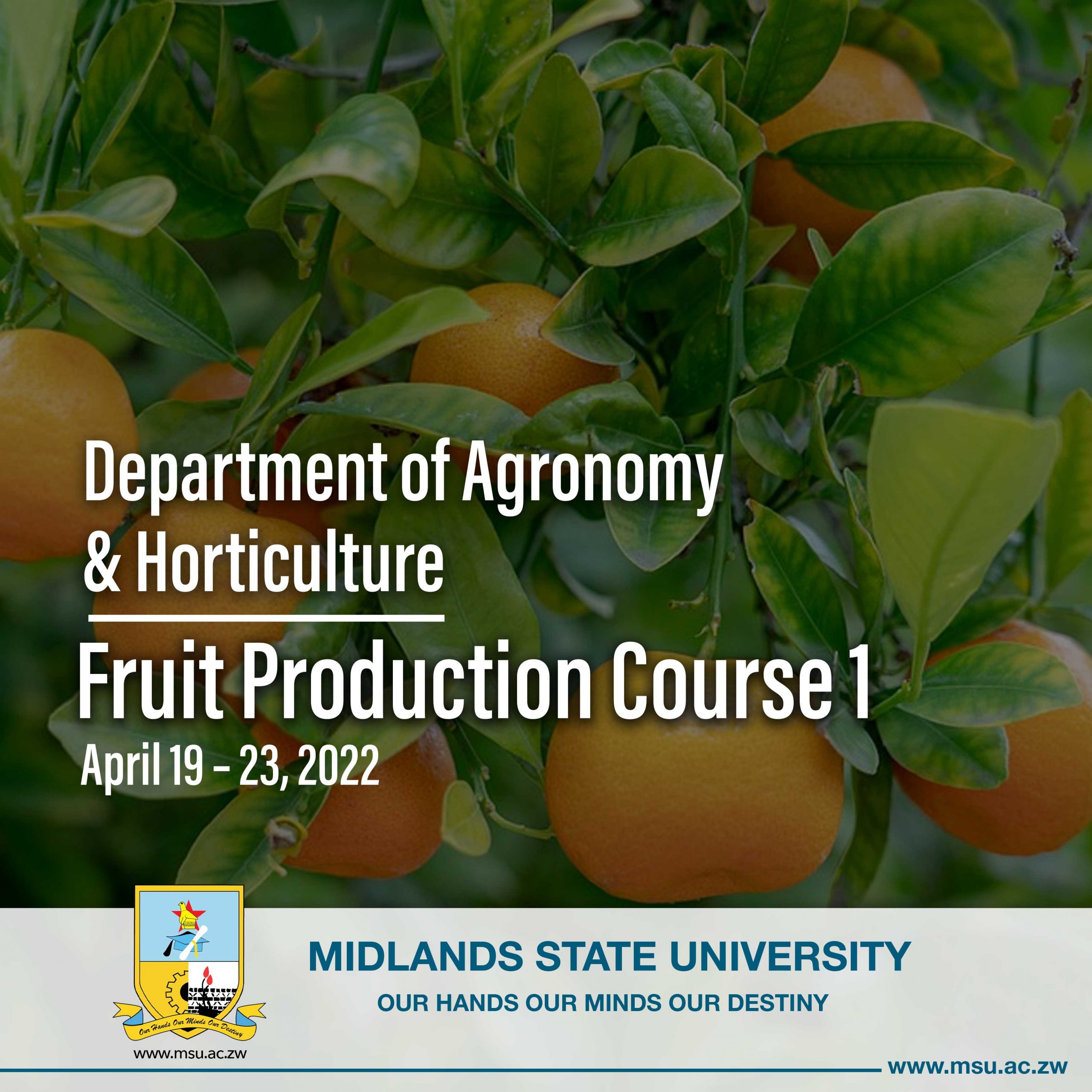 222Fruit Production Course 1